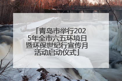 青岛市举行2025年全市六五环境日暨环保世纪行宣传月活动启动仪式