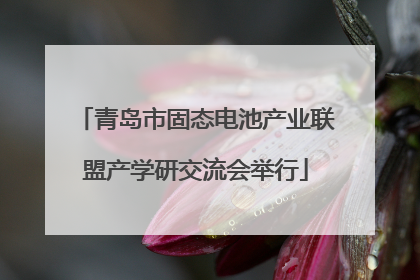 青岛市固态电池产业联盟产学研交流会举行