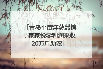 青岛平度洋葱滞销，家家悦零利润采收20万斤助农