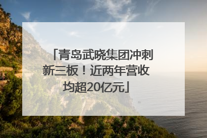 青岛武晓集团冲刺新三板！近两年营收均超20亿元