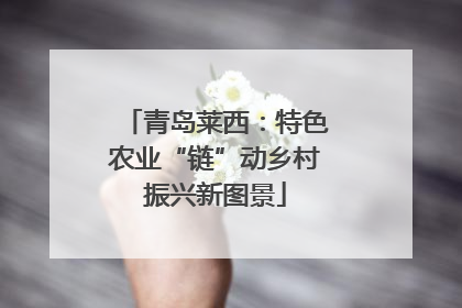 青岛莱西：特色农业“链”动乡村振兴新图景