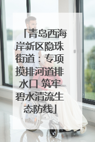 青岛西海岸新区隐珠街道：专项摸排河道排水口 筑牢碧水清流生态防线