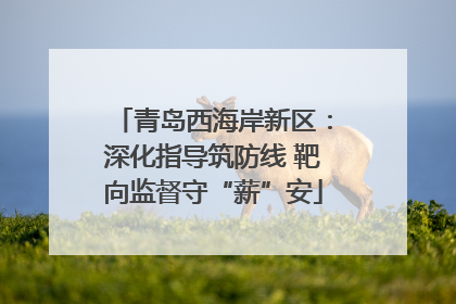 青岛西海岸新区：深化指导筑防线 靶向监督守“薪”安