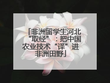 非洲留学生河北“取经”：把中国农业技术“译”进非洲田野
