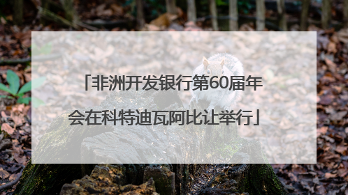 非洲开发银行第60届年会在科特迪瓦阿比让举行