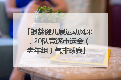 银龄健儿展运动风采，20队竞逐市运会（老年组）气排球赛