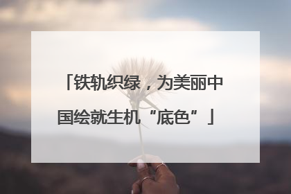 铁轨织绿，为美丽中国绘就生机“底色”