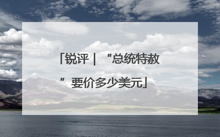 锐评｜“总统特赦”要价多少美元