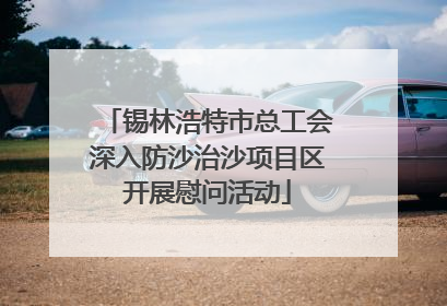 锡林浩特市总工会深入防沙治沙项目区开展慰问活动