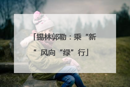 锡林郭勒：乘“新”风向“绿”行