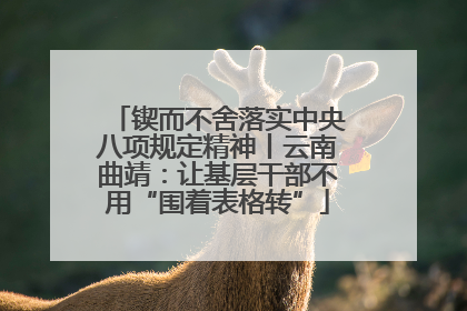 锲而不舍落实中央八项规定精神丨云南曲靖：让基层干部不用“围着表格转”