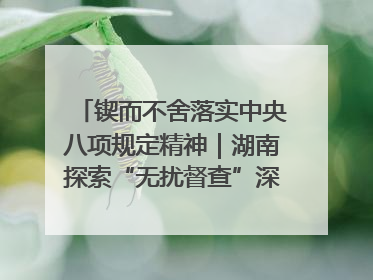 锲而不舍落实中央八项规定精神｜湖南探索“无扰督查”深化基层减负