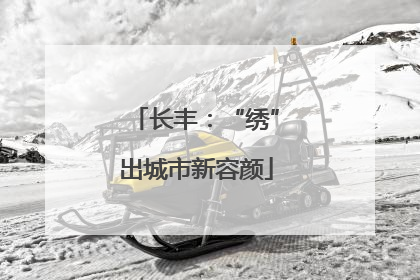 长丰：“绣”出城市新容颜