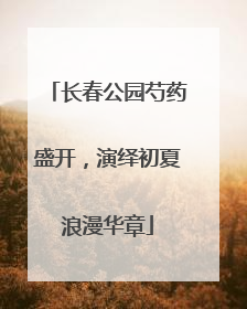 长春公园芍药盛开，演绎初夏浪漫华章