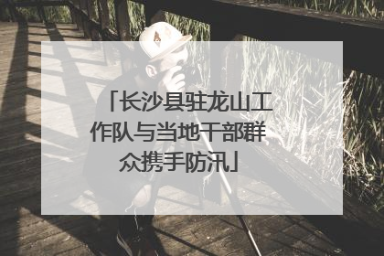 长沙县驻龙山工作队与当地干部群众携手防汛