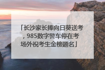 长沙家长捧向日葵送考，985数字警车停在考场外祝考生金榜题名