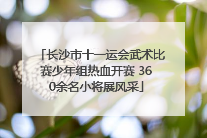 长沙市十一运会武术比赛少年组热血开赛 360余名小将展风采