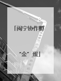 闽宁协作孵“金”蛋