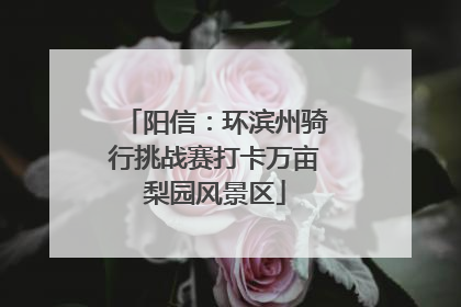 阳信：环滨州骑行挑战赛打卡万亩梨园风景区