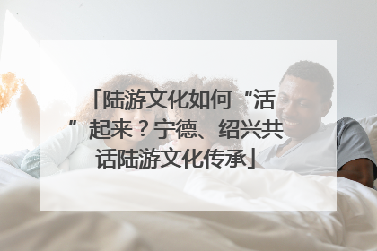 陆游文化如何“活 ”起来？宁德、绍兴共话陆游文化传承