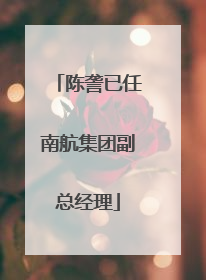 陈詟已任南航集团副总经理
