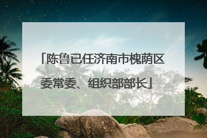 陈鲁已任济南市槐荫区委常委、组织部部长