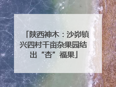 陕西神木：沙峁镇兴四村千亩杂果园结出“杏”福果