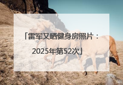 雷军又晒健身房照片：2025年第52次