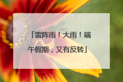 雷阵雨！大雨！端午假期，又有反转