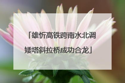 雄忻高铁跨南水北调矮塔斜拉桥成功合龙