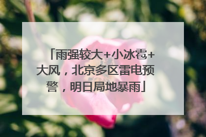 雨强较大+小冰雹+大风，北京多区雷电预警，明日局地暴雨