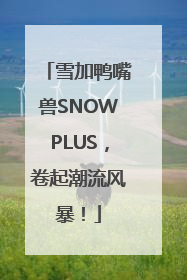 雪加鸭嘴兽SNOWPLUS，卷起潮流风暴！