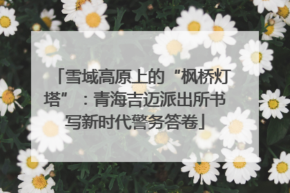 雪域高原上的“枫桥灯塔”：青海吉迈派出所书写新时代警务答卷