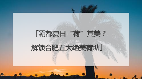 霸都夏日“荷”其美？解锁合肥五大绝美荷塘