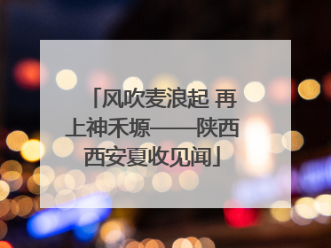 风吹麦浪起 再上神禾塬——陕西西安夏收见闻
