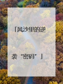 风沙里的逆袭“密码”