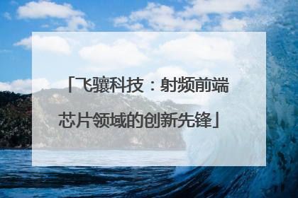 飞骧科技：射频前端芯片领域的创新先锋