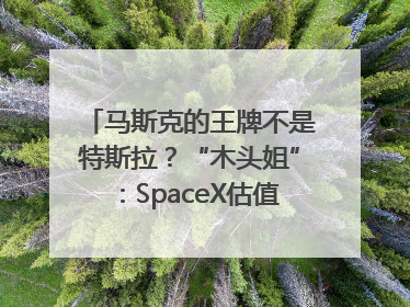 马斯克的王牌不是特斯拉？“木头姐”：SpaceX估值五年后可达2.5万亿美元！