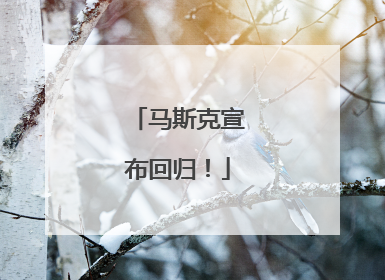 马斯克宣布回归！