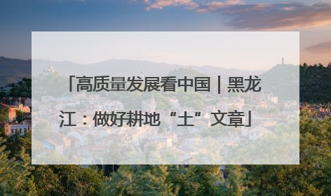 高质量发展看中国｜黑龙江：做好耕地“土”文章