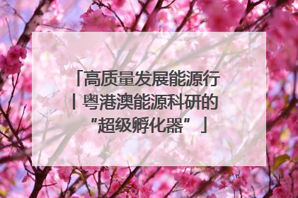 高质量发展能源行丨粤港澳能源科研的“超级孵化器”