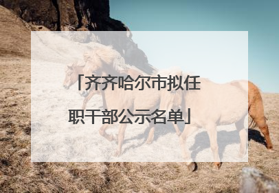 齐齐哈尔市拟任职干部公示名单