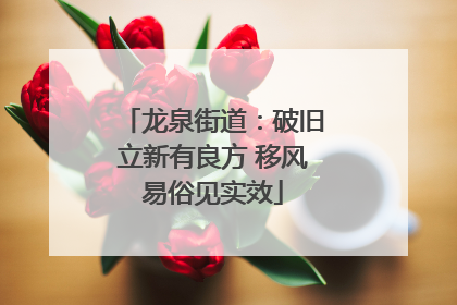 龙泉街道：破旧立新有良方 移风易俗见实效