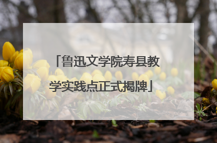 鲁迅文学院寿县教学实践点正式揭牌
