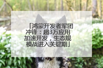 鸿蒙开发者军团冲锋：超3万应用加速开发，生态规模战进入关键期