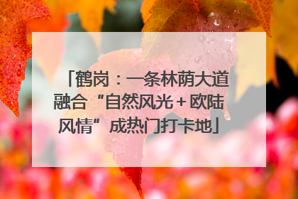 鹤岗：一条林荫大道融合“自然风光＋欧陆风情”成热门打卡地
