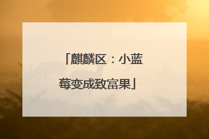麒麟区：小蓝莓变成致富果