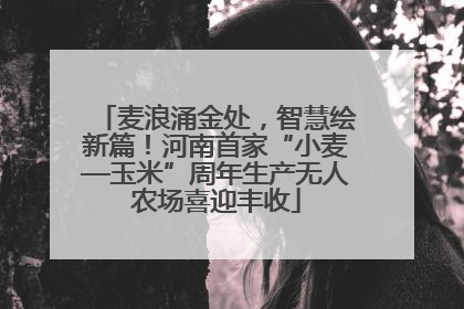 麦浪涌金处，智慧绘新篇！河南首家“小麦—玉米”周年生产无人农场喜迎丰收