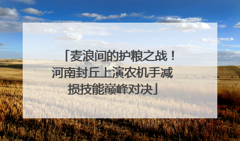 麦浪间的护粮之战！河南封丘上演农机手减损技能巅峰对决