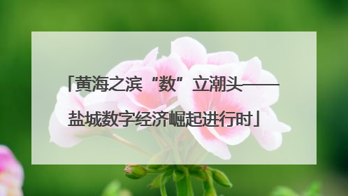 黄海之滨“数”立潮头——盐城数字经济崛起进行时